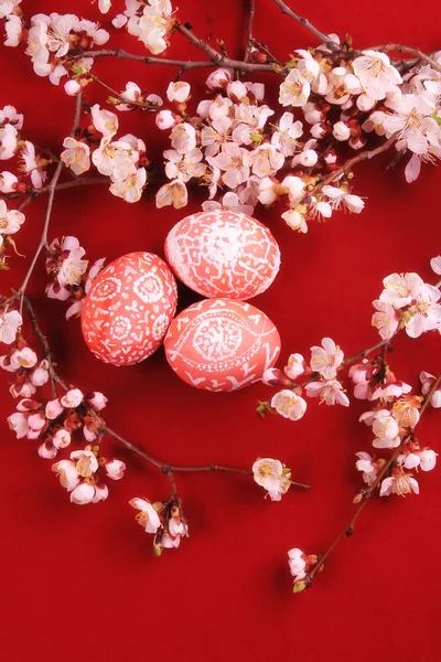 Easter eggs with ornaments and blossoming branch — Stock Photo, Image