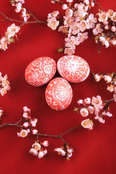 Ovos de Páscoa com ornamentos e ramo florescente — Fotografia de Stock