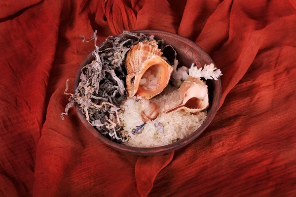 Rice with barnacles and algae on a white background — Stock Photo, Image