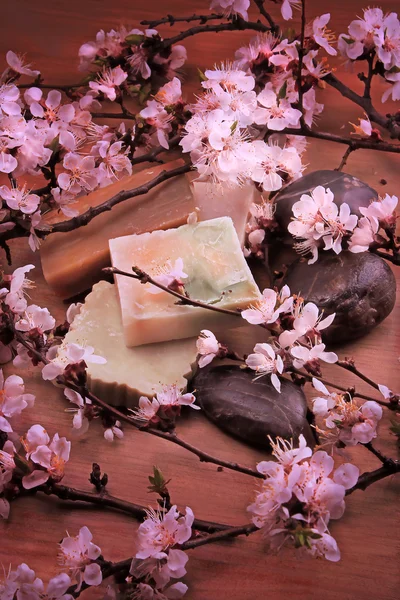 Cinnamon sticks on a black background with a flower cherry — Stock Photo, Image