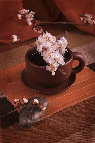 A cup of tea out of clay with blooming cherry twig — Stock Photo, Image