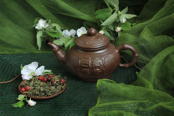 Clay teapot with cinnamon and cherry blossom — Stock Photo, Image