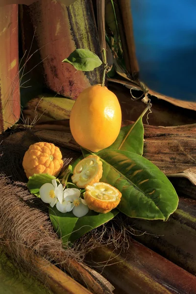 Lemon lemon and wild flowers on bamboo — Stock Photo, Image