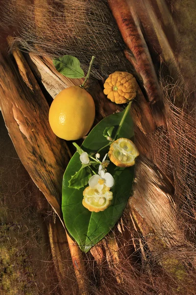 Lemon lemon and wild flowers on bamboo — Stock Photo, Image