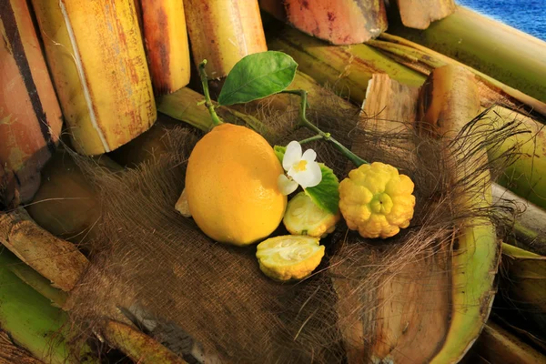 Lemon lemon and wild flowers on bamboo — Stock Photo, Image