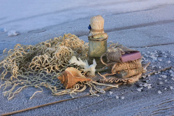 Bottle with cosmetic oil with shells and coral on a tree with hoarfrost — Stock Photo, Image