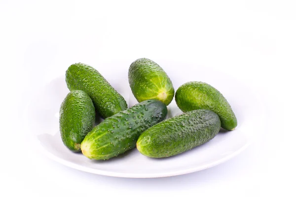 Pepinos en un plato aislado sobre un fondo blanco —  Fotos de Stock