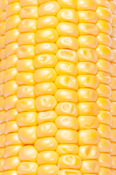 Corn background, macro closeup. texture — Stock Photo, Image