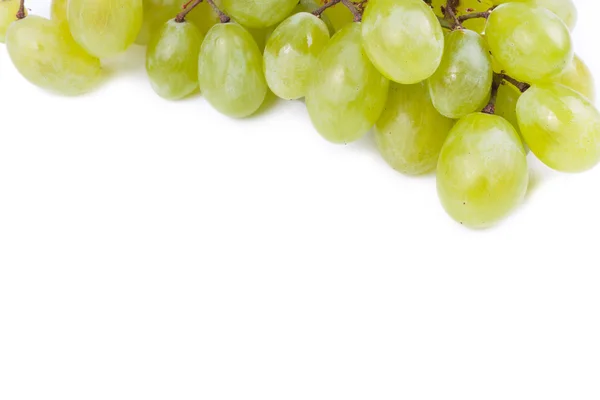 Winogrona izolowane na białym tle. — Zdjęcie stockowe