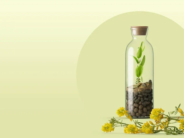 Bottle with soil and plant, 3d illustration, 3d rendering