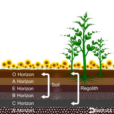 Layer of earth clipart