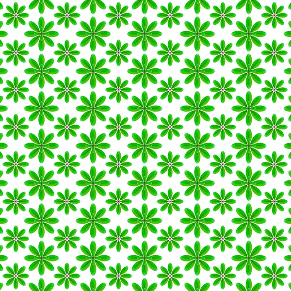 Green leaf pattern design — Stock Photo, Image