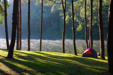 Göl kenarında kamp yapan gezgin.