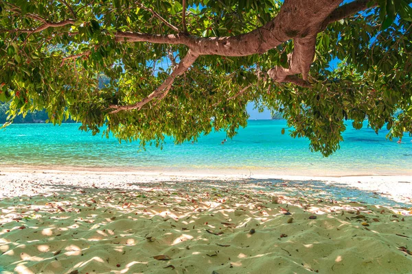 White Beach Surin Island Phangnga Thailand Beautiful Nature — Stock Photo, Image