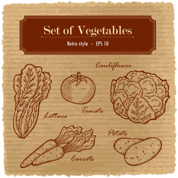 Ένα μεγάλο σύνολο από φρέσκα λαχανικά. διάφορα λαχανικά στο grange ρετρό φόντο. — Διανυσματικό Αρχείο