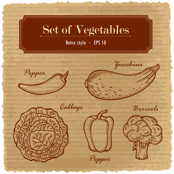 A large set of fresh vegetables. Various vegetables on the grange retro background. — Stock Vector