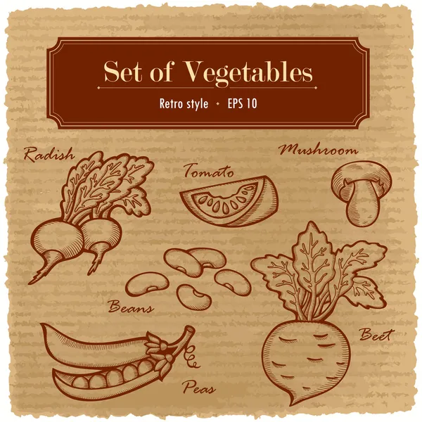 A large set of fresh vegetables. Various vegetables on the grange retro background. — Stock Vector