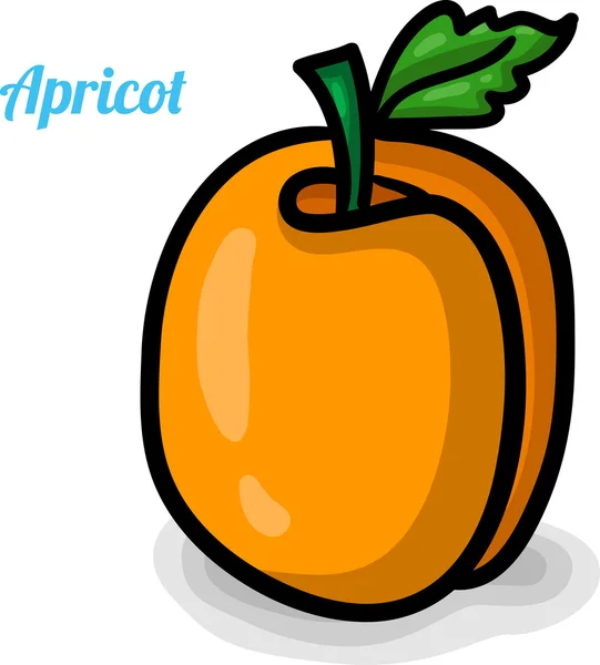 Albaricoque, frutas frescas . — Vector de stock