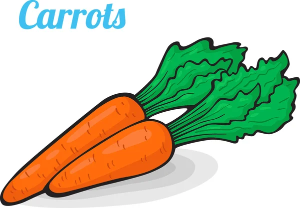 Carrot, fresh vegetables. — Stock Vector