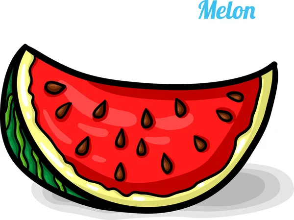 Melon, fresh fruits. — Stock Vector