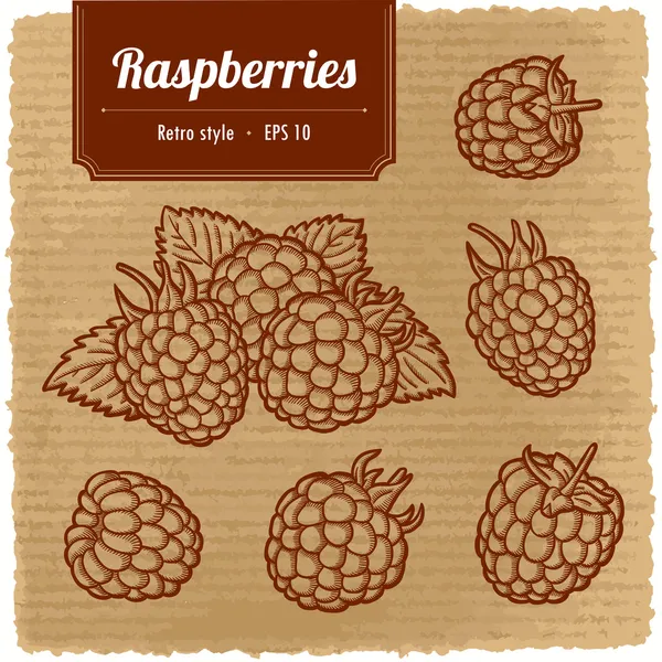 Olgun ahududu vektör çizim.