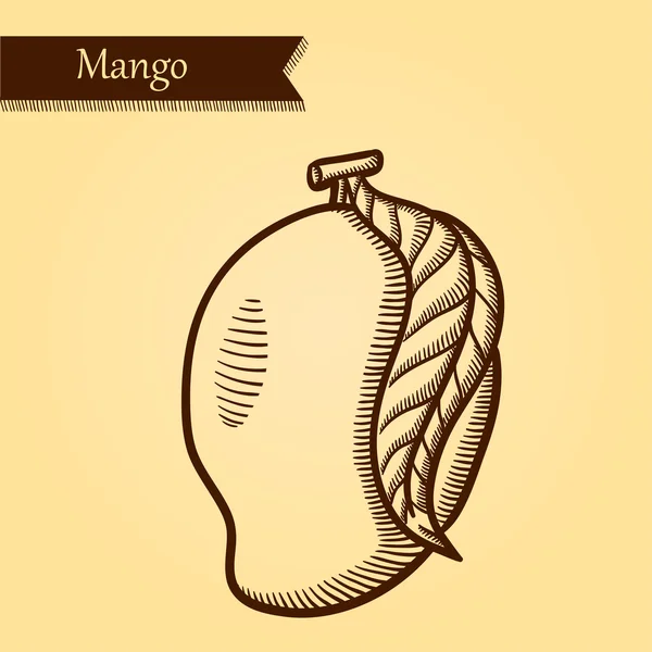 Mangue, fruits frais . — Image vectorielle