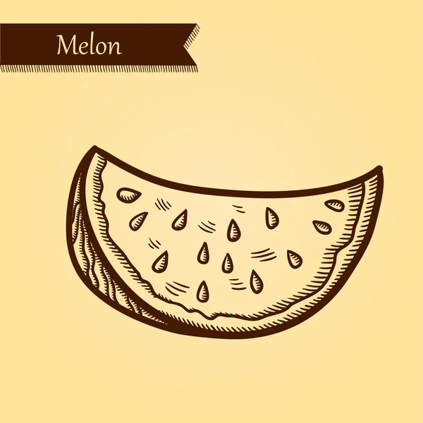 Melon, fruits frais . — Image vectorielle