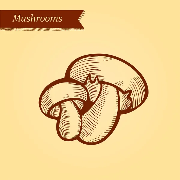 Mushrooms, mushroom, fresh vegetables. — Stock Vector