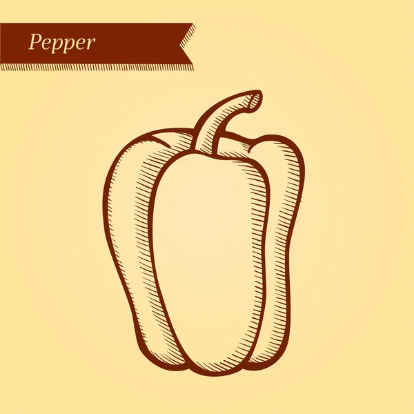 Pepper, fresh vegetables. — Stock Vector
