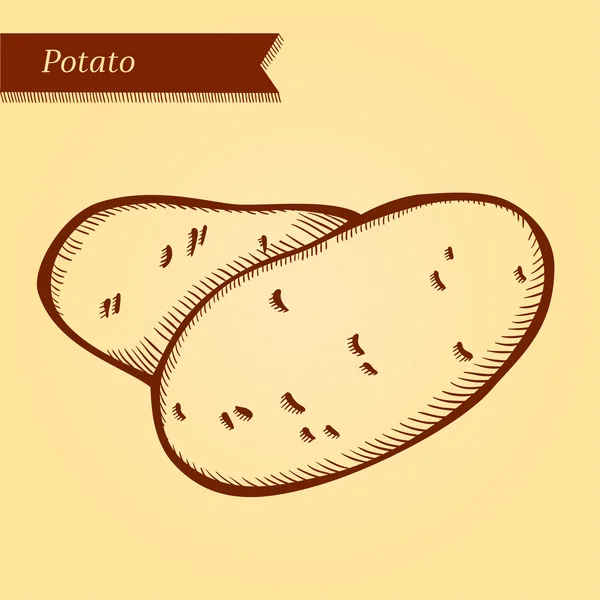 Potatoes, potato, fresh vegetables. — Stock Vector