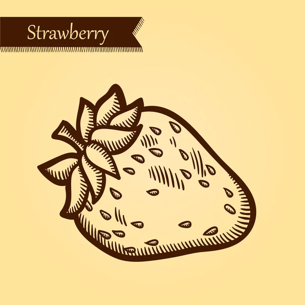Erdbeere, frisches Obst. — Stockvektor