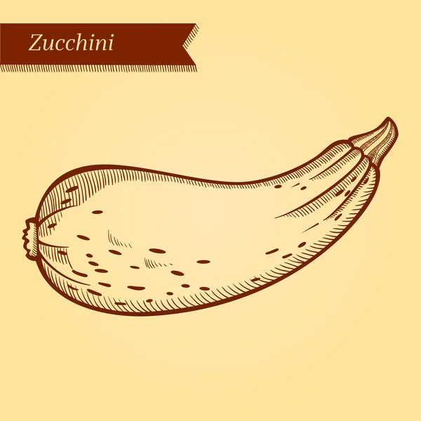 ズッキーニ、新鮮な野菜. — ストックベクタ