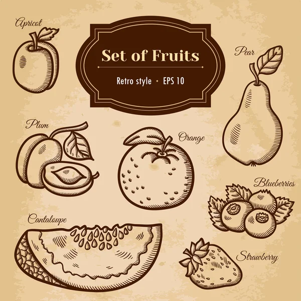 Conjunto de frutas. — Archivo Imágenes Vectoriales