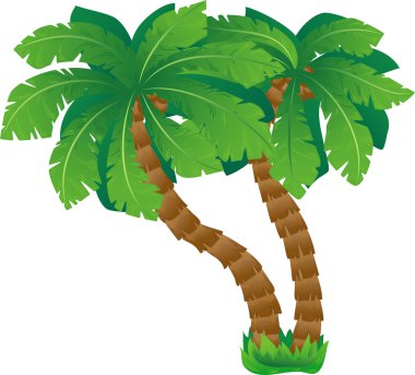 Green palm trees