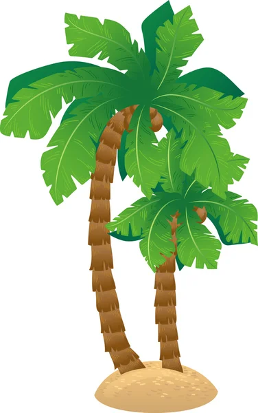 Grüne Palmen — Stockvektor