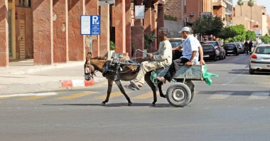 bir Arap adam bir eşek sürüş