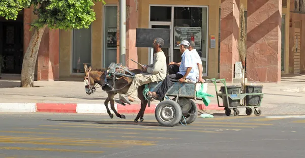 Un Arabe conduisant un âne — Photo