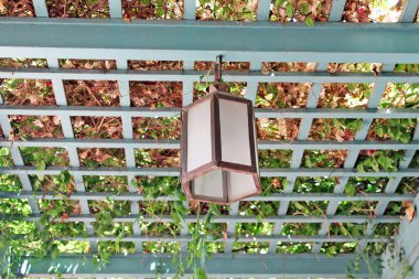 Fener tavan yeşil bir bahçe içinde