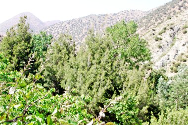 Dağların güzel manzarası