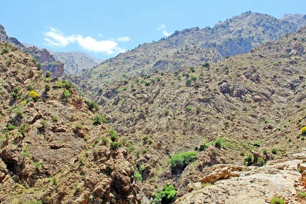 Belle vue sur les montagnes par temps ensoleillé — Photo