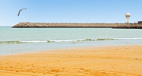 Vackra havet stranden med fyren på udden — Stockfoto