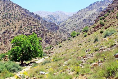 güzel bir güneşli gün dağda manzarası