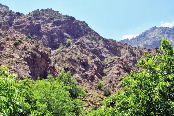 Belle vue sur les montagnes par temps ensoleillé — Photo