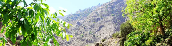 Hermosa vista de las montañas en un día soleado — Foto de Stock