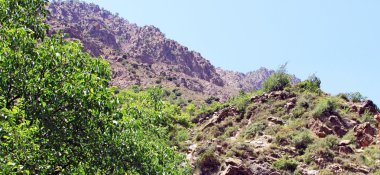 güzel bir güneşli gün dağda manzarası