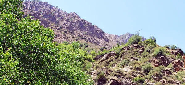 Hermosa vista de las montañas en un día soleado — Foto de Stock