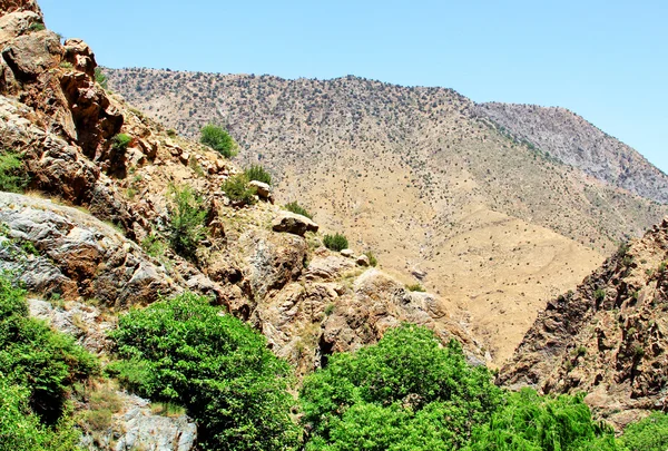 Beautiful view of mountains in sunny day — Stock Photo, Image