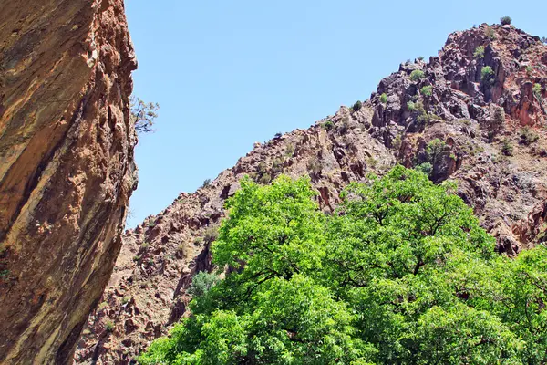 Beautiful view of mountains in sunny day — Stock Photo, Image