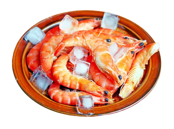 Свежие красные креветки со льдом на тарелке — стоковое фото