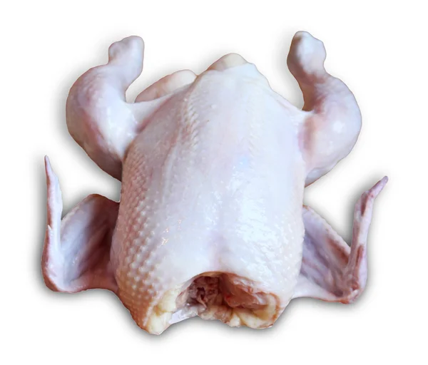 The whole chicken isolated on white background — Stock Photo, Image